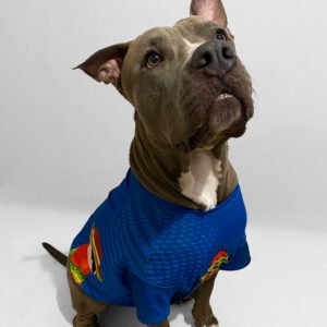 CAMISETA DEPORTIVA PERSONALIZADA