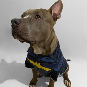 CAMISETA VERSIÓN HALLOWEEN PERSONALIZADA