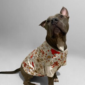 CAMISETA VERSIÓN NAVIDAD PERSONALIZADA